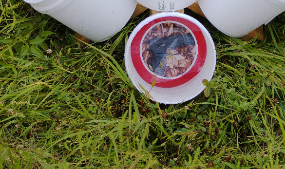Training target bucket close-up